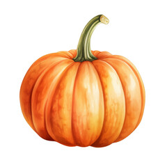 Obraz premium Watercolor Illustration of a Single Orange Pumpkin