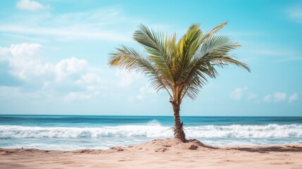 A date palm tree growing on a sandy beach, with the ocean waves crashing in the background.