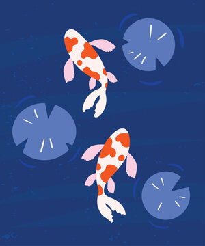Koi fish minimalistic illustration