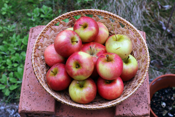 Äpfel, Apfel, Frucht, Bio, Fruchtkorb