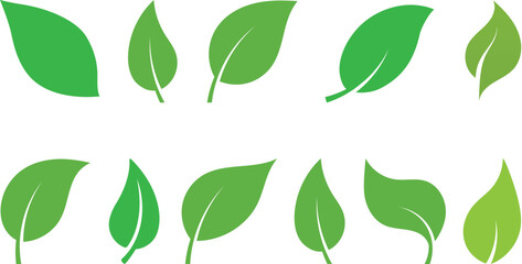 Eco nature green color leaf icons set collection