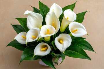 Lilies, calla lilies, slender and elegant represent purity and refinement in their design