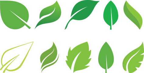 Eco nature green color leaf icons set collection