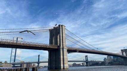 Brooklyn bridge, NY