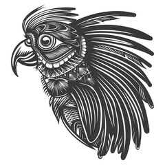 Black and White Detailed Illustration of a Parrots Head