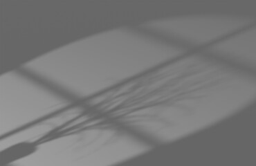 Overlay backdrop with a window frame and plant