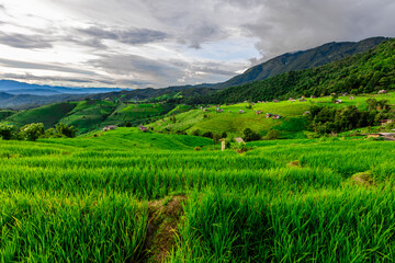 Obraz premium Background of the nature trail around the road. Surrounded by rivers and mountains, beauty while traveling and stopping over during nature tours.