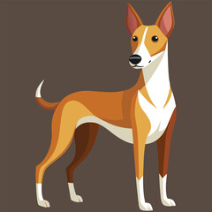 Dog Breeds Illustration, Pet with colorful background nice image.