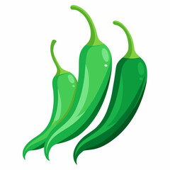 Red Chili Peppers Vector Art on White Background