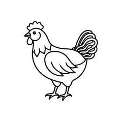 Lineout icon of a chicken vector icon illustration on a white background.