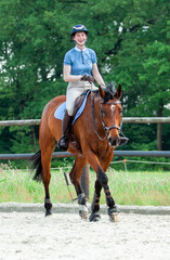 Working Horse VI
