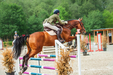 Showjumping VI