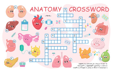 Medical anatomy crossword. Education puzzle game for children students. Funny medicine game with cartoon internal organs, nowaday vector template