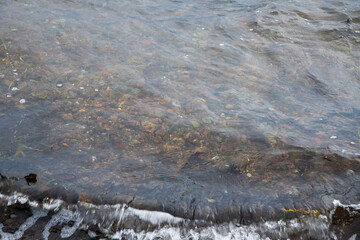 water flowing in the forest