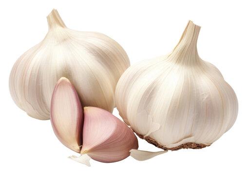 PNG Cloves of garlic and garlic head vegetable food white background.