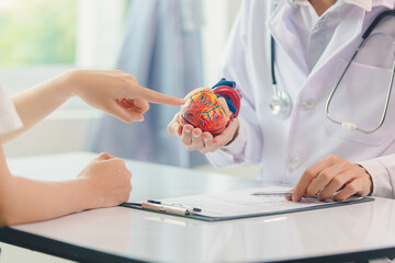 Cardiologists consult and treat patients by showing them an anatomical model of the human heart....