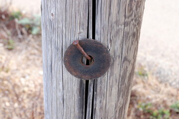 Texture of wood and wood products. Still life with an object on a texture background.