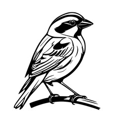 bird on a branch