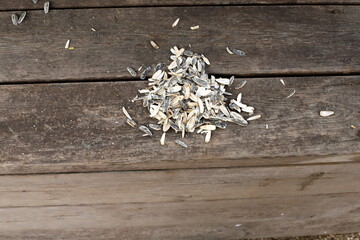 Texture of wood and wood products. Still life with an object on a texture background.