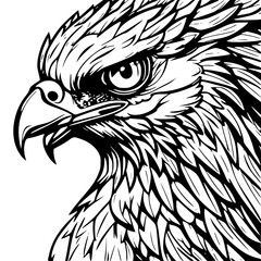 Obraz premium eagle head isolated on white