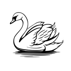 Fototapeta premium black swan on white background