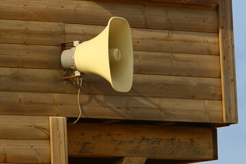 Texture of wood and wood products. Still life with an object on a texture background.