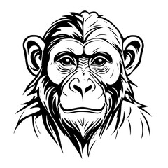 Fototapeta premium portrait of a lion