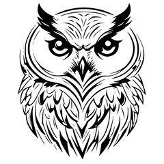 Obraz premium owl with wings