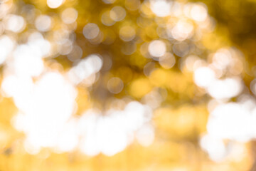 Obraz premium Gold nature blur abstract bokeh background.
