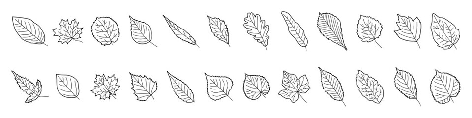 Obraz premium Leaf icon set. Leaves silhouette icon. Linear style.