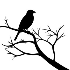 Bird Silhouette at Sunset Vector Art with Gradient Sky