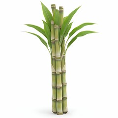 A tall green bamboo plant with a brown stem. The plant is the only thing in the image