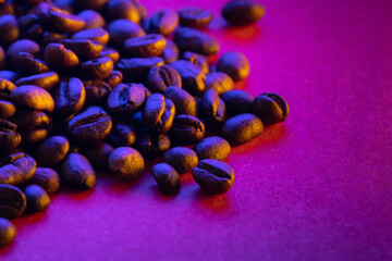 Coffee beans photo taken in close up with copy space . Dark roasted brown beans against magenta background and moody studio lighting.