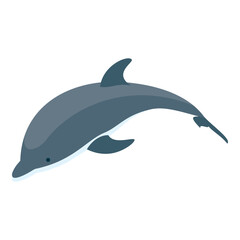 3D Isometric Flat Vector Set of Types Of Dolphins, Educational Classification. Item 8 © TarikVision