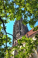 M&uuml;nster Westfalen St. Lamberti 5