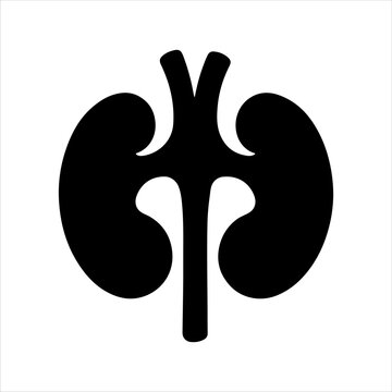 recommend clip art: Kidney silhouette vector illustration design on white background.
