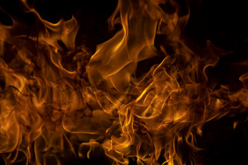 Fire flame burning and fire glowing on black background.