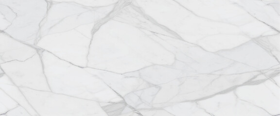 Luxury White Gray Marble texture background vector. Panoramic Marbling texture design for Banner, invitation, wallpaper, headers, website, print ads, packaging design template.italian marble