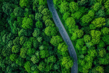 Fototapeta premium Aerial view of road through green forest. Wide angle ov view.