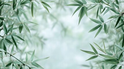 Fototapeta premium Bamboo leaves frame, minimalist, light mint, olive tones