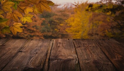 Naklejka na ściany i meble Autumn background with a vintage wooden table and a beautiful forest with golden autumnal foliage leaves,  warm bokeh sunset light. 