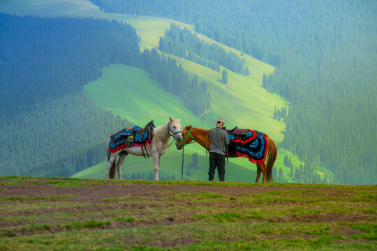 Karajun Grassland, an attractive tourist attraction integrating grasslands, forests, canyons, snow-capped peaks, and lakes, Tekes County, Ili Kazakh Autonomous Prefecture, Xinjiang, China