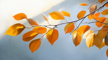 A delicate branch with vibrant yellow leaves, bathed in the soft light of the sun, symbolizes the beauty of autumn, the passage of time, and the cycle of life.