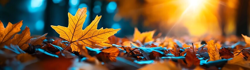 A vibrant autumn scene featuring covered ground with colorful fallen leaves illuminated by gentle sunlight.