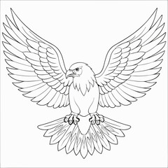 Soaring Eagle line art