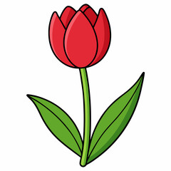 tulip vector illustration