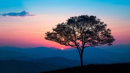 Obraz premium beautiful sunset in africa with a big shadow of a tree