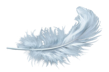 Obraz premium PNG a photo of *curly white feather flying *, isolated on dark background --ar 3:2 --v 6.0