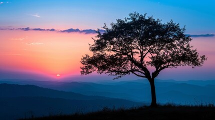 Obraz premium beautiful sunset in africa with a big shadow of a tree