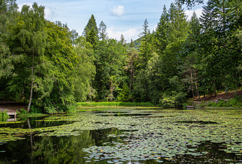 Landscape photography of forest and pond with lilies; reflection; water; reservoir; path; serenity; scenery; panorama; nature; background; Scotland; UK, Pitlochry